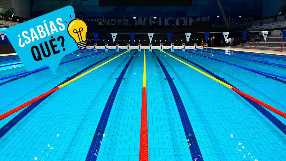 Vista panorámica de una piscina deportiva de competición con división de carriles